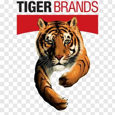Tiger Brands Vacancies 2026